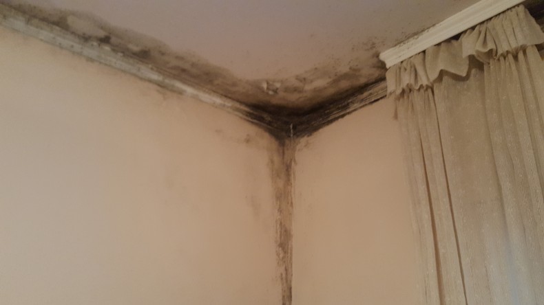 Muffa da condensa su soffitto