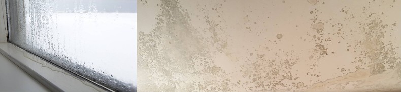 Elimina la condensa e la muffa dai muri, elimina condense e ponti ... Condensa e muffa